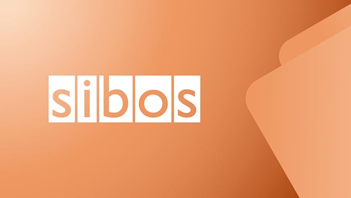 即時決済の急増と成功の要因