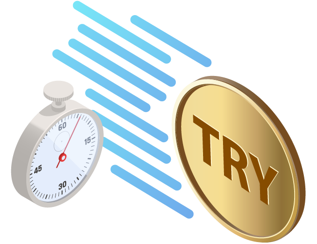 Birlikte Çalışabilen Anında Ödemeler Sistemi